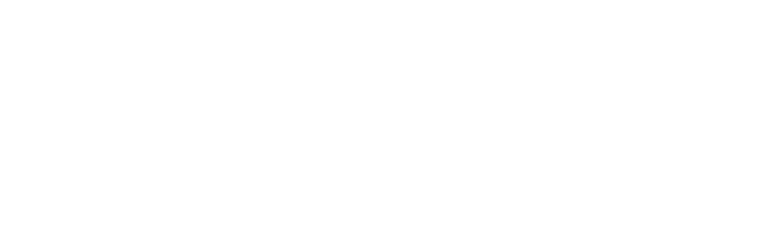 Boasorte Viajante Logo