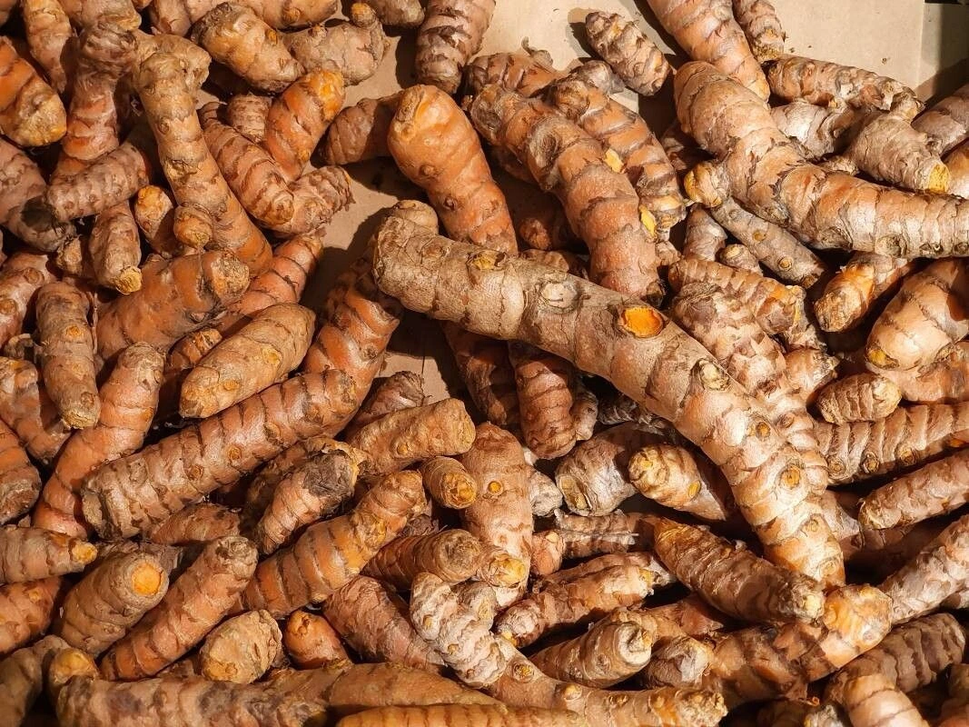 Cúrcuma